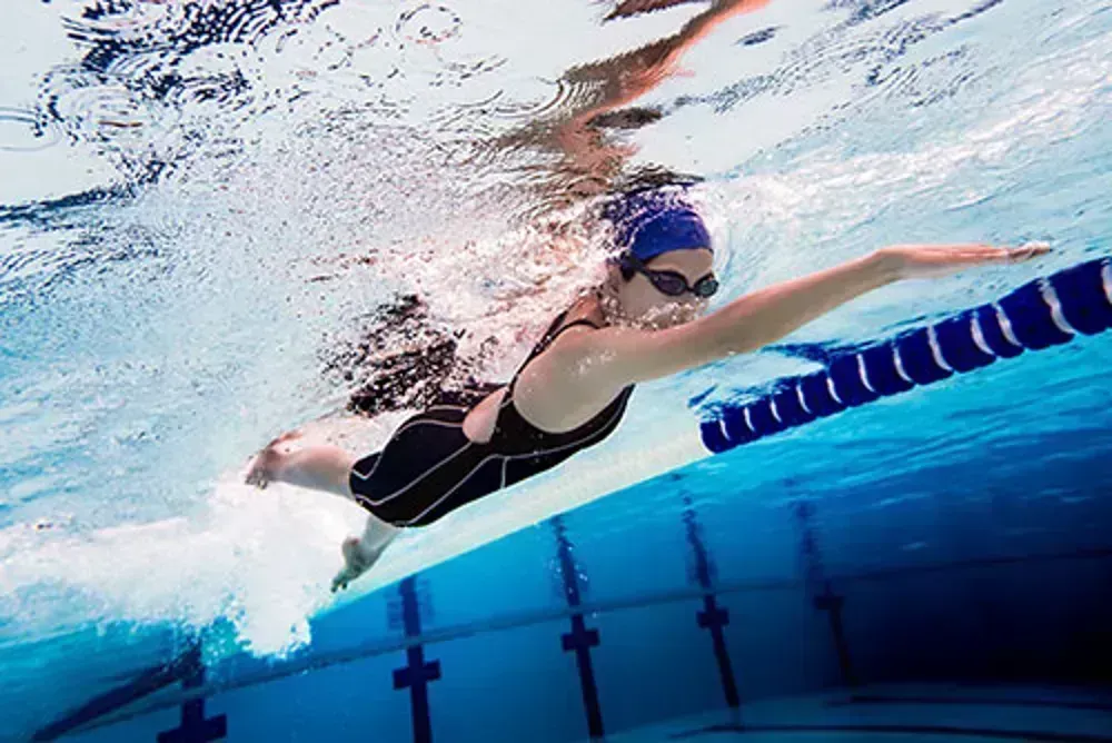 Natation Adultes